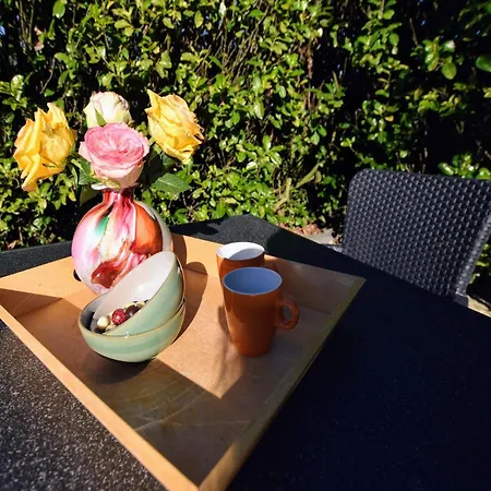 Vakantiehuis Charming In With Garden Garderen