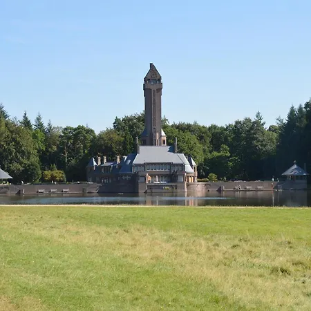 In Veluwe Near Forest Park Garderen