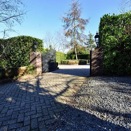 In Veluwe Near Forest Park