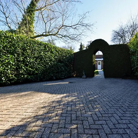 In Veluwe Near Forest Park