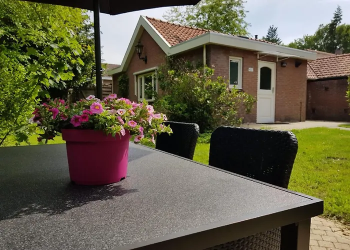 In Veluwe Near Forest Park * Garderen