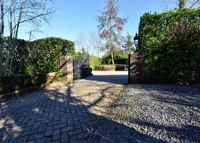 In Veluwe Near Forest Park