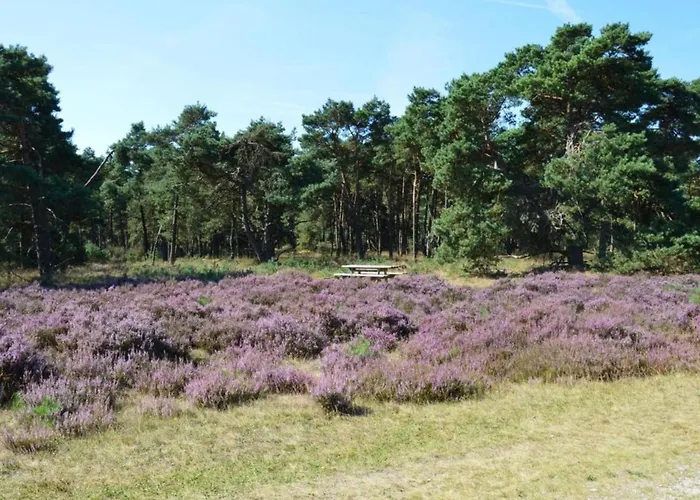 Сasa de vacaciones In Veluwe Near Forest Park