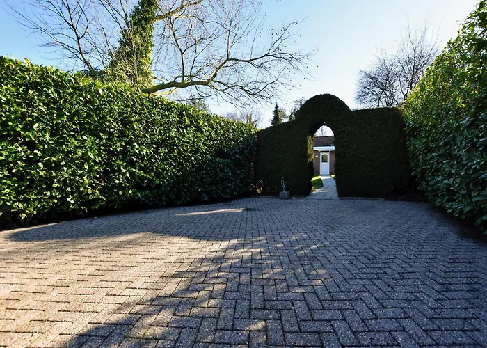 In Veluwe Near Forest Park