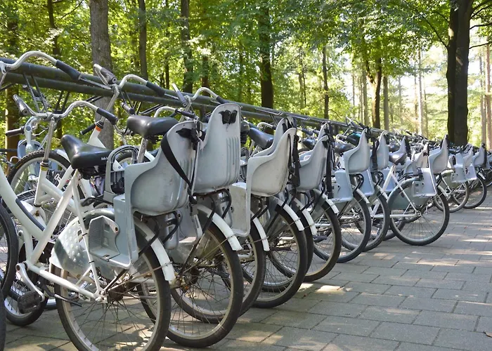 Сasa de vacaciones In Veluwe Near Forest Park