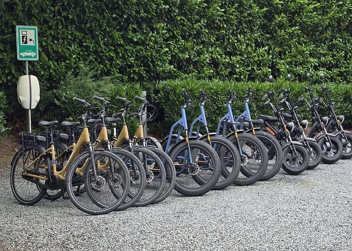 In Veluwe Near Forest Park *