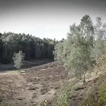 度假居 In Veluwe Near Forest Park 加德兰