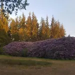 In Veluwe Near Forest Park 度假居 加德兰