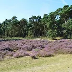 度假居 In Veluwe Near Forest Park