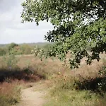 In Veluwe Near Forest Park 度假居 *