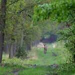 度假居 In Veluwe Near Forest Park *