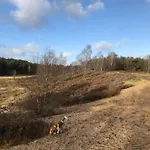 度假居 In Veluwe Near Forest Park 加德兰