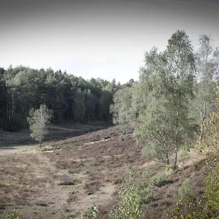 Feriehus In Veluwe Near Forest Park Garderen