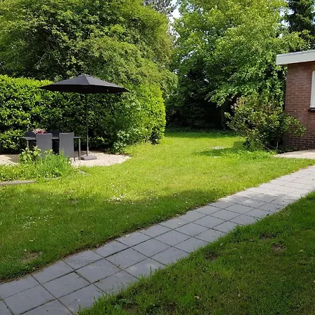 In Veluwe Near Forest Park