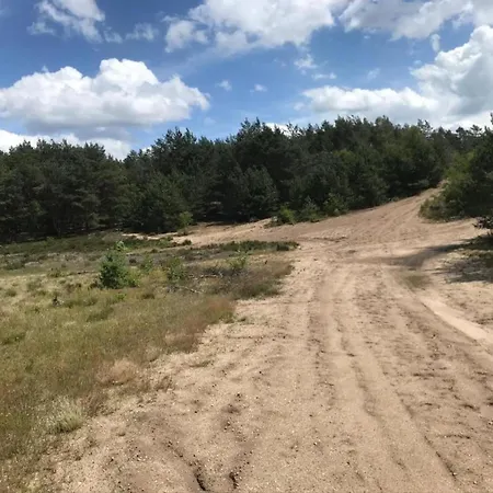 In Veluwe Near Forest Park Feriehus *