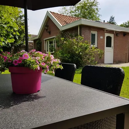 In Veluwe Near Forest Park * Garderen