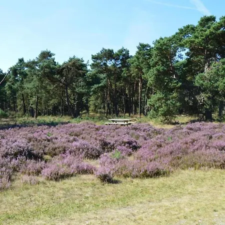 Feriehus In Veluwe Near Forest Park