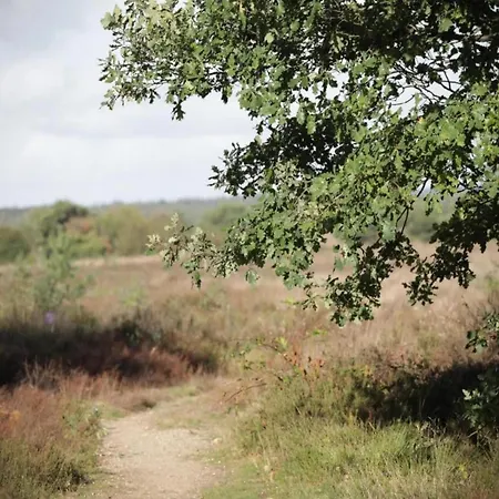 In Veluwe Near Forest Park Feriehus *