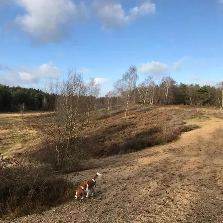 Feriehus In Veluwe Near Forest Park Garderen