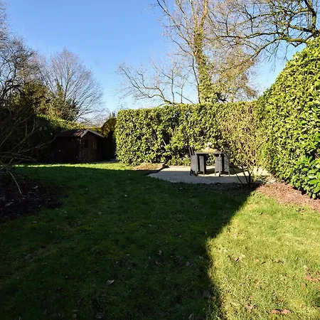 In Veluwe Near Forest Park Garderen