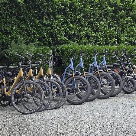 In Veluwe Near Forest Park *