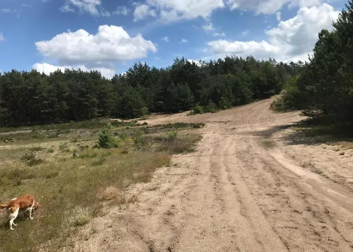 In Veluwe Near Forest Park Сasa de vacaciones *