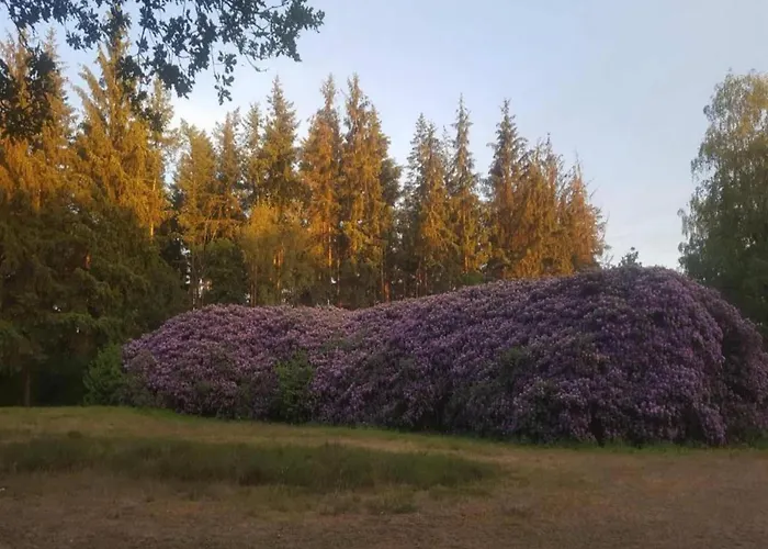 In Veluwe Near Forest Park Сasa de vacaciones Garderen