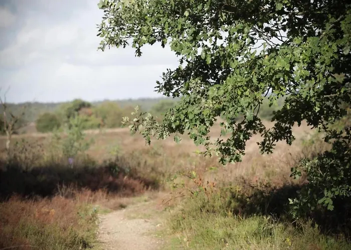 In Veluwe Near Forest Park Сasa de vacaciones *