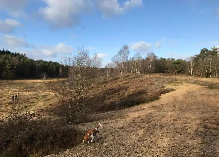 Сasa de vacaciones In Veluwe Near Forest Park Garderen