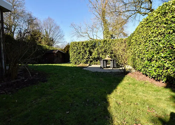 In Veluwe Near Forest Park Garderen